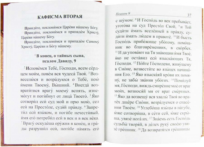 Пс (Скрижаль) и молитвы по усопшим (ТИРАЖ 2021 г.) (уценка)