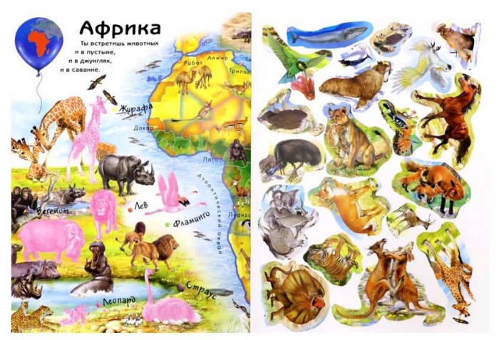 рпгоан